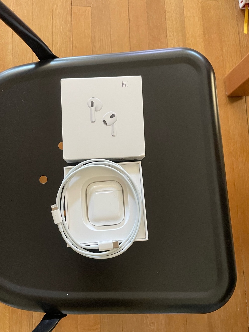 Apple Earbuds